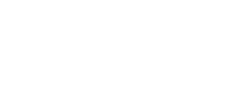XPERT Digital Agency